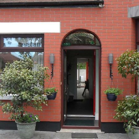 Sycamore House B&B Dublin Exterior photo